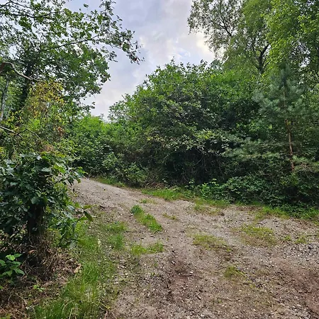 بيت للعطل Charming Older In Nature *