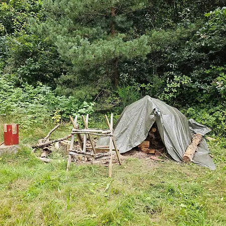 Charming Norwegian Log With Grass Roof *