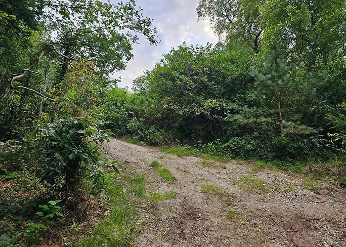 بيت للعطل Charming Older In Nature *