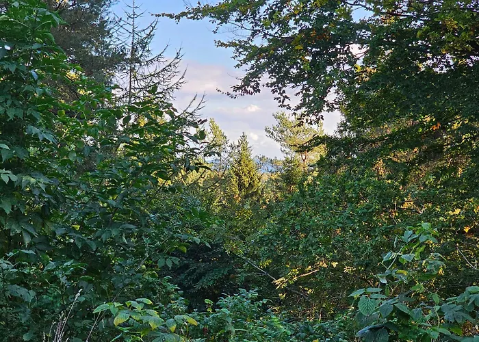 بيت للعطل Charming Older In Nature إيبلتوفت