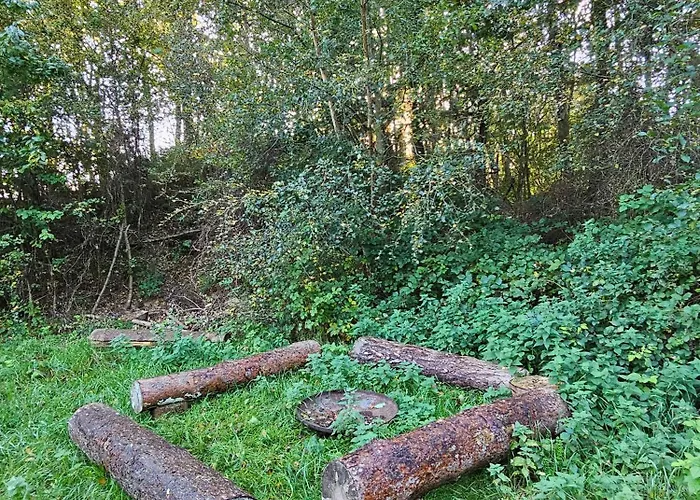 Charming Older In Nature إيبلتوفت